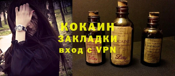 трава Белокуриха
