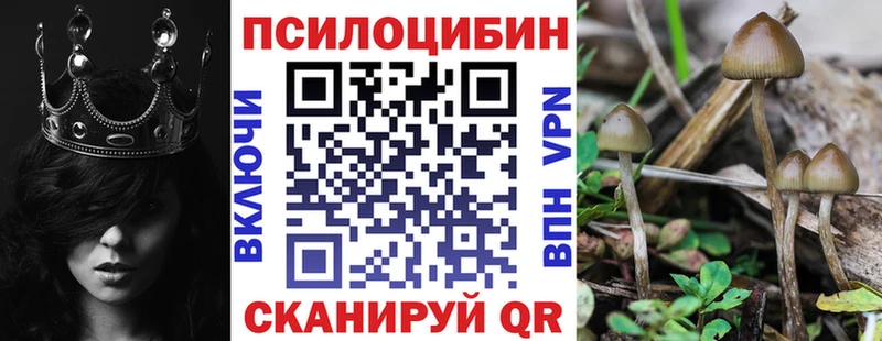 купить наркоту  Долинск  Галлюциногенные грибы Psilocybe 